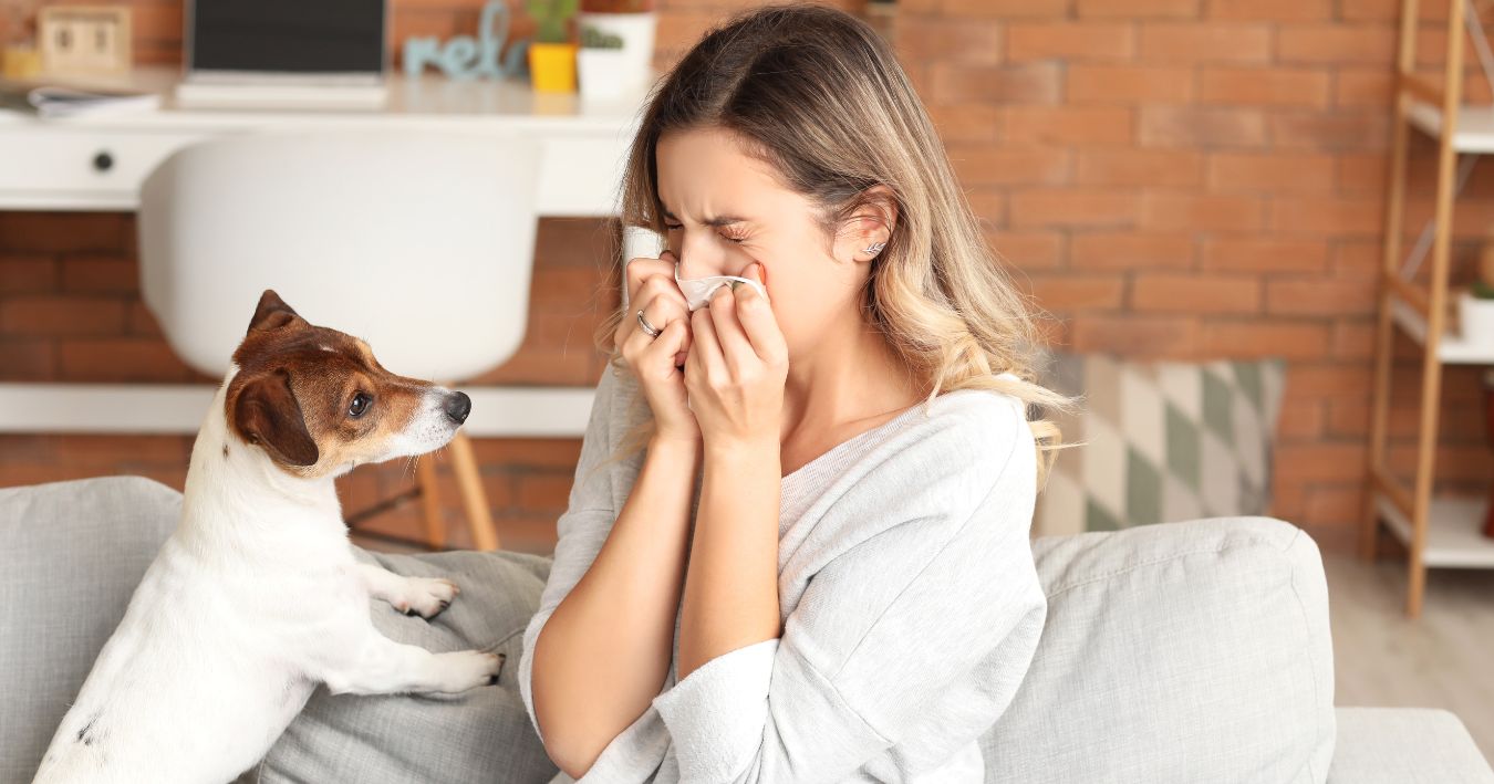 Picture of Understanding and Managing Dog Allergies: An In-Depth Guide - HeyAllergy