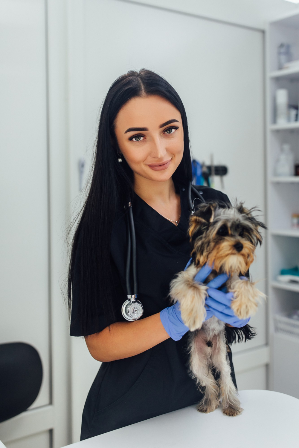 Veterinary Specialist Referrals Pets Ahoy Animal Hospital, MI