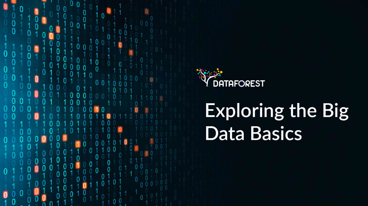 Big Data Basics in 2024