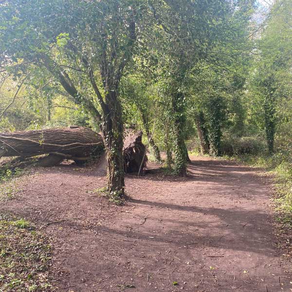 ZAPT Laser Tag Cambridge