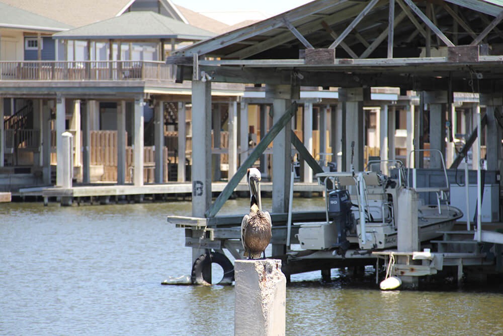 Port Mansfield Lots For Sale