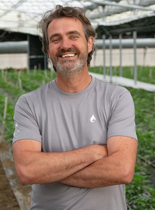 Cannavigia - The Digital Twin of Your Cannabis Operations.