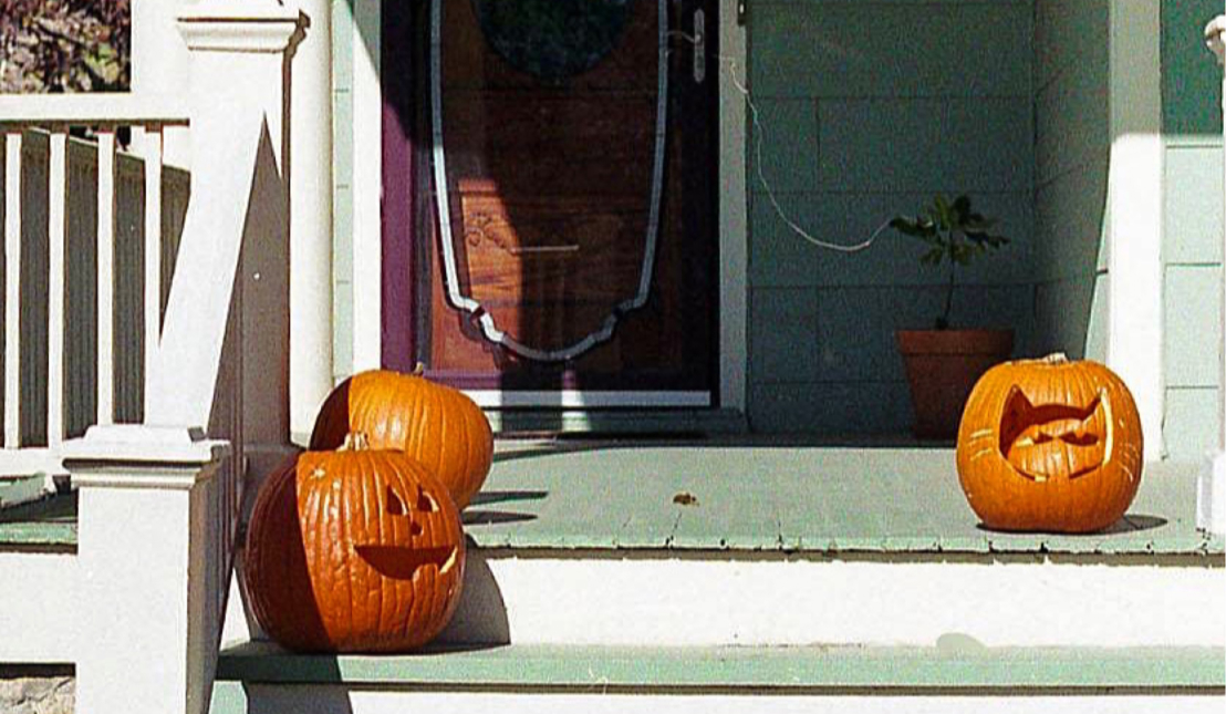 Skip the Bin How to Dispose of Halloween Pumpkins (+ 10 Pumpkin Recipes)