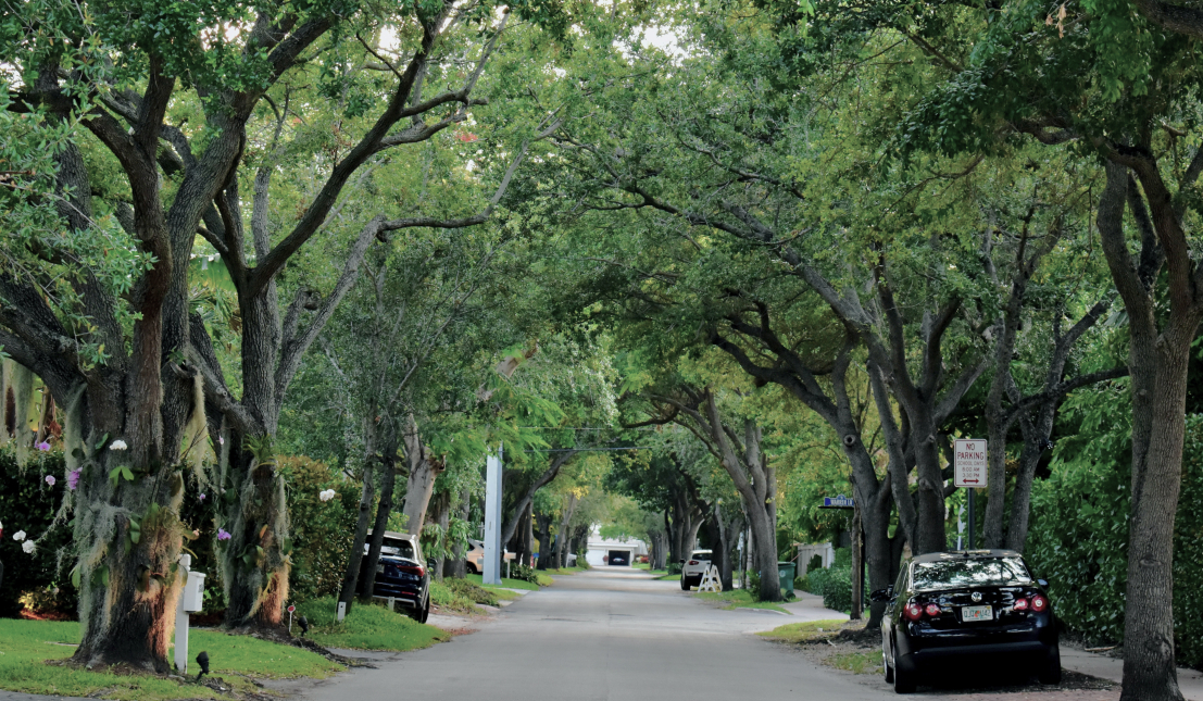 The Shade Wealth Gap: Trees are Indicators of Wealth Disparity