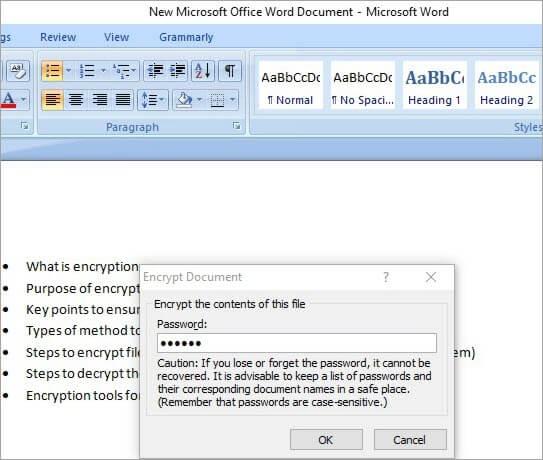 enter password to encrypt MS office doc