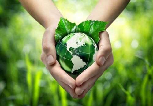 Hands holding green earth full of live in nature