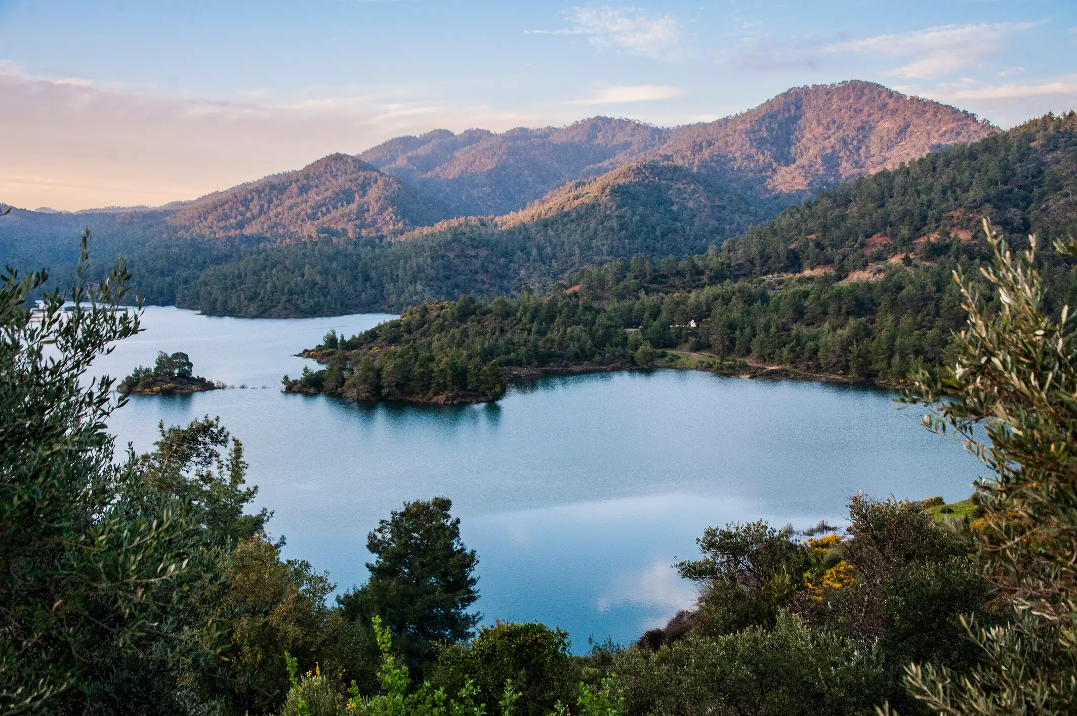 troodos-mountains-the-palmiers