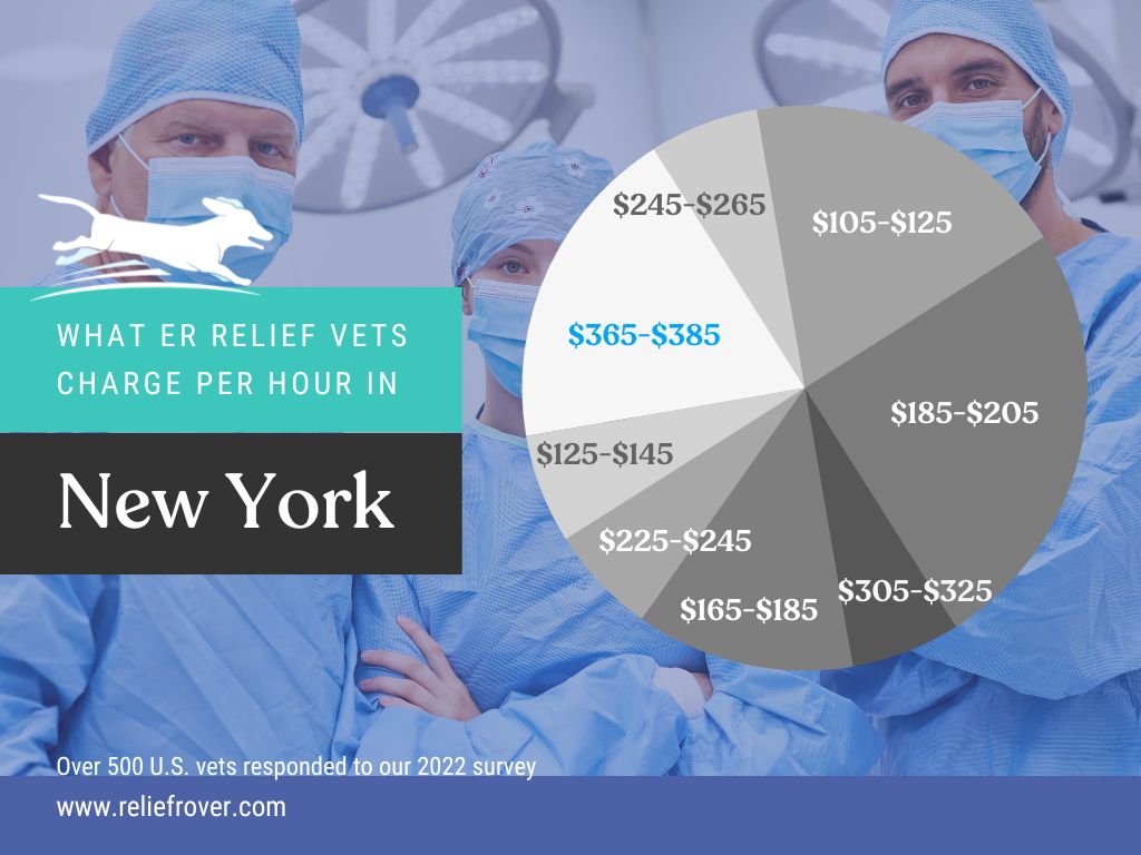 Veterinary Licensing Requirements for New York