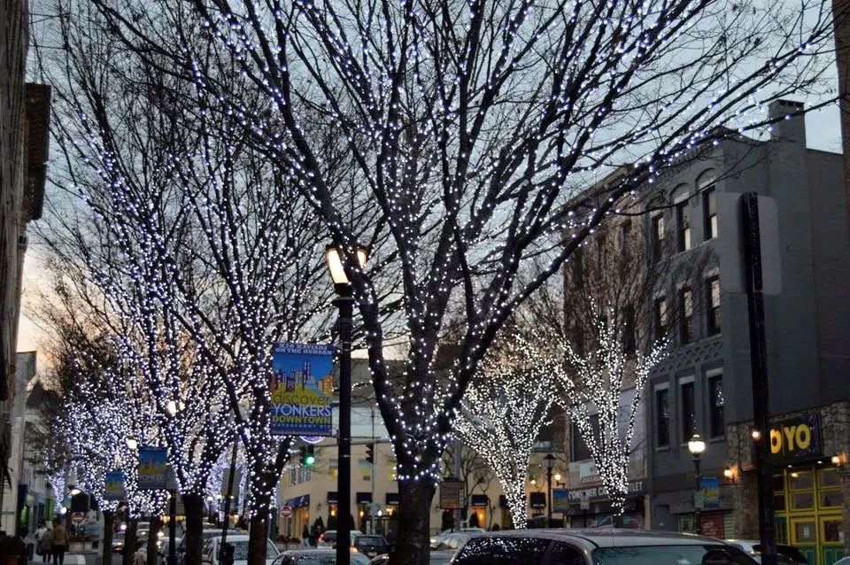 Holiday Lighting in Westchester County, NY and Connecticut NY Landscape Lighting