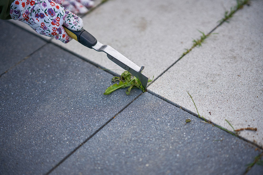Top-Quality Weed Pulling Service for a Pristine Lawn