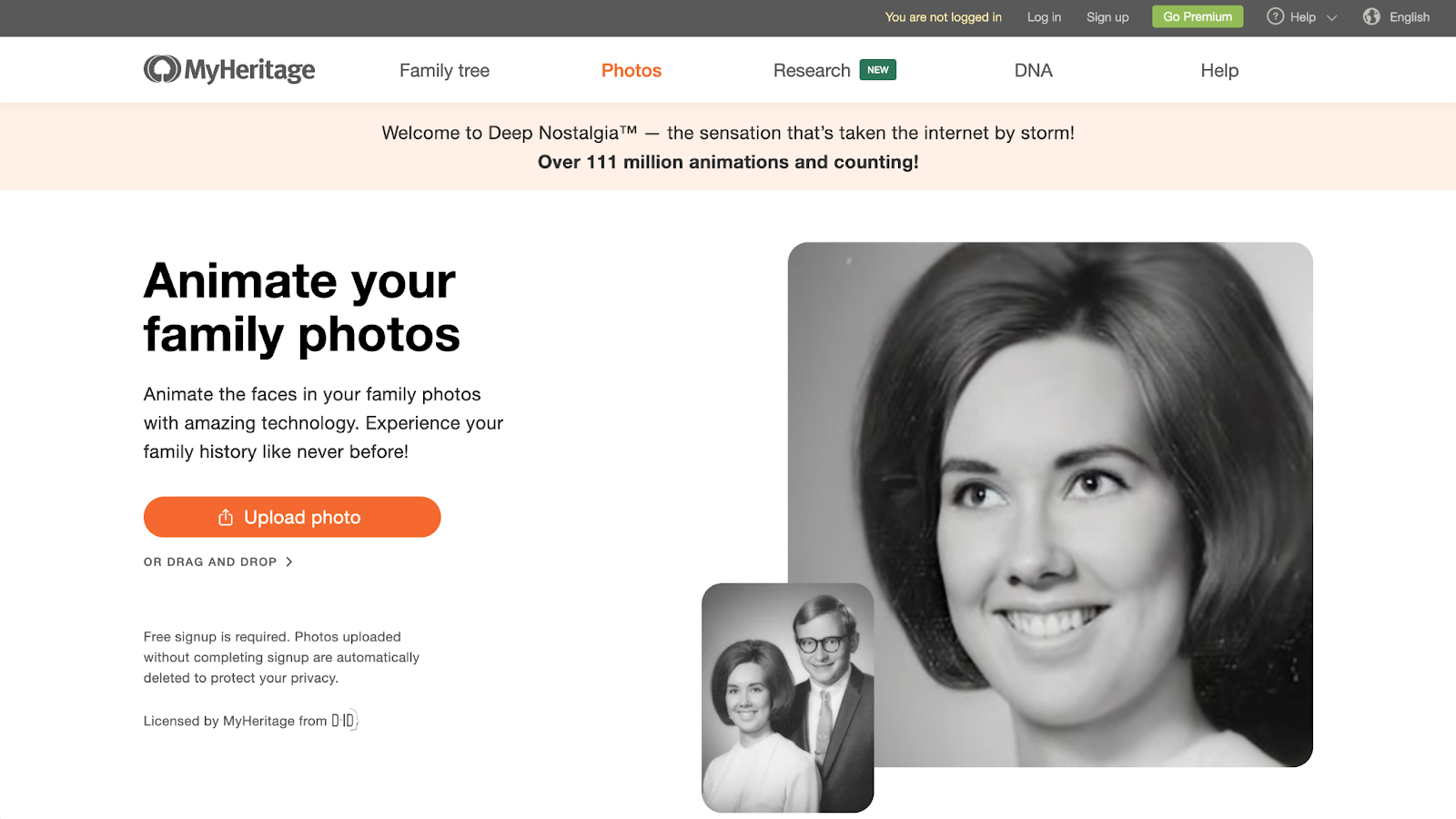 MyHeritage