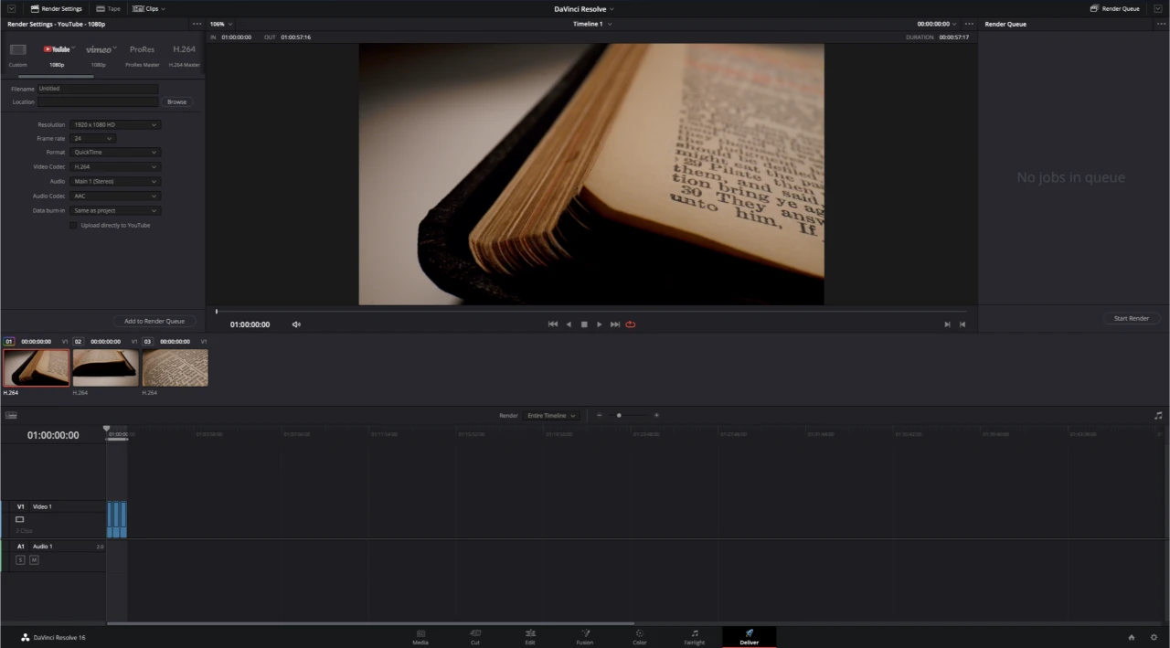 DaVinci Resolve Deliver panel.