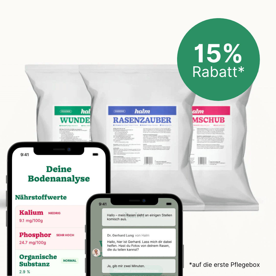 Rasen Berater Halm Angebot