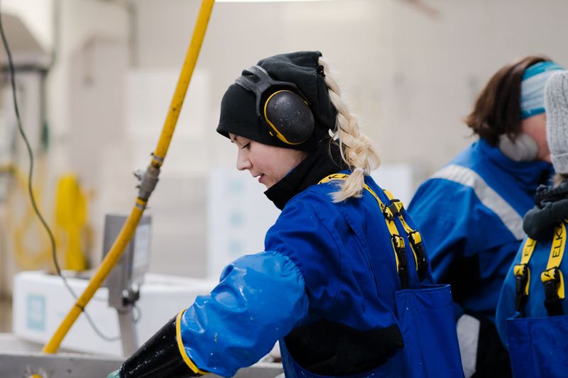 FineFish – A leading supplier of fish and seafood from Norway