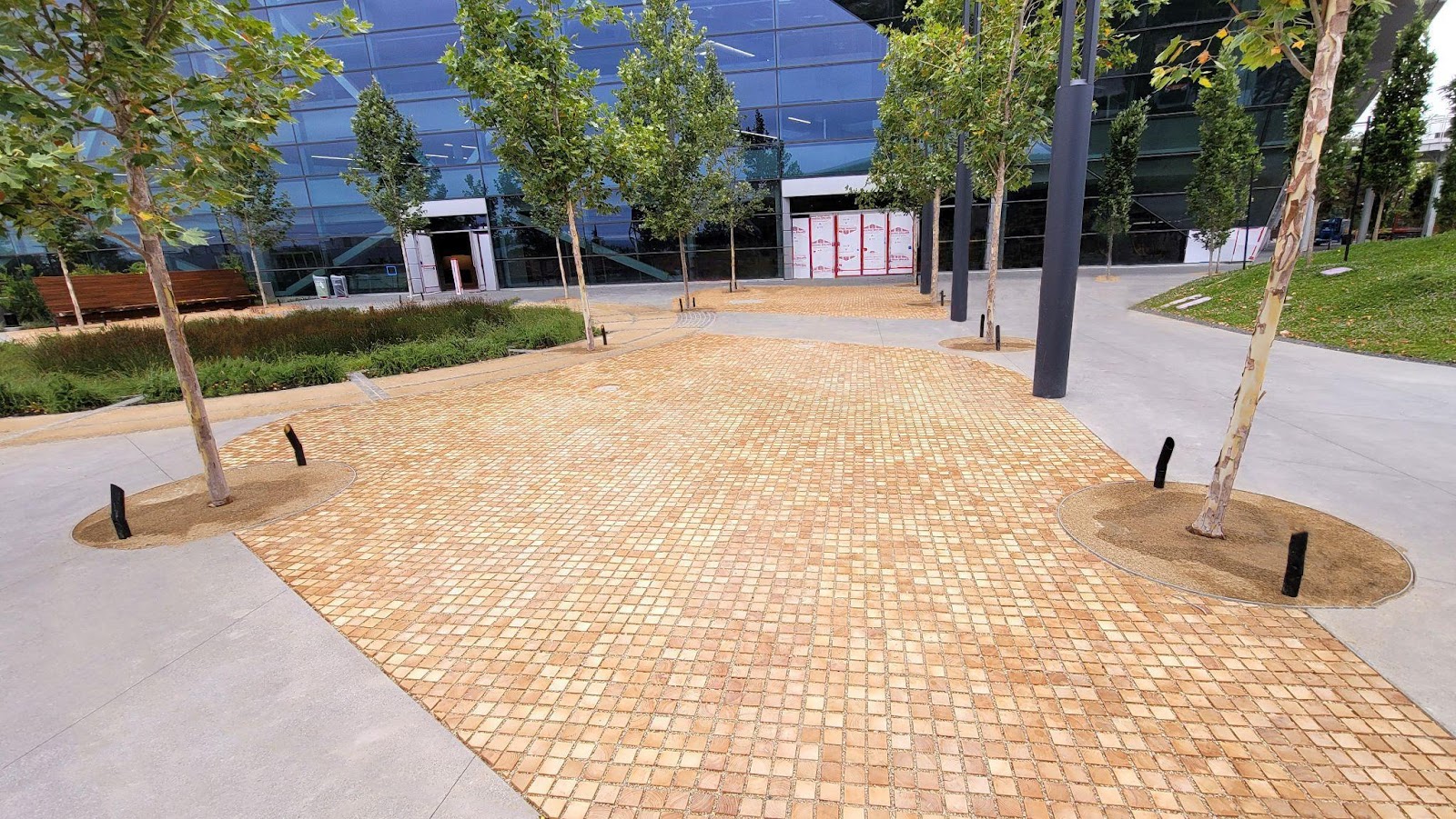 Black Locust Uses Guide from Paving to Decking — Black Locust Lumber