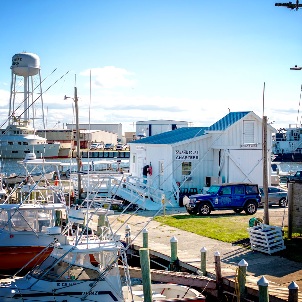 Outer Banks Fishing Charters Let's Catch Some Fish!