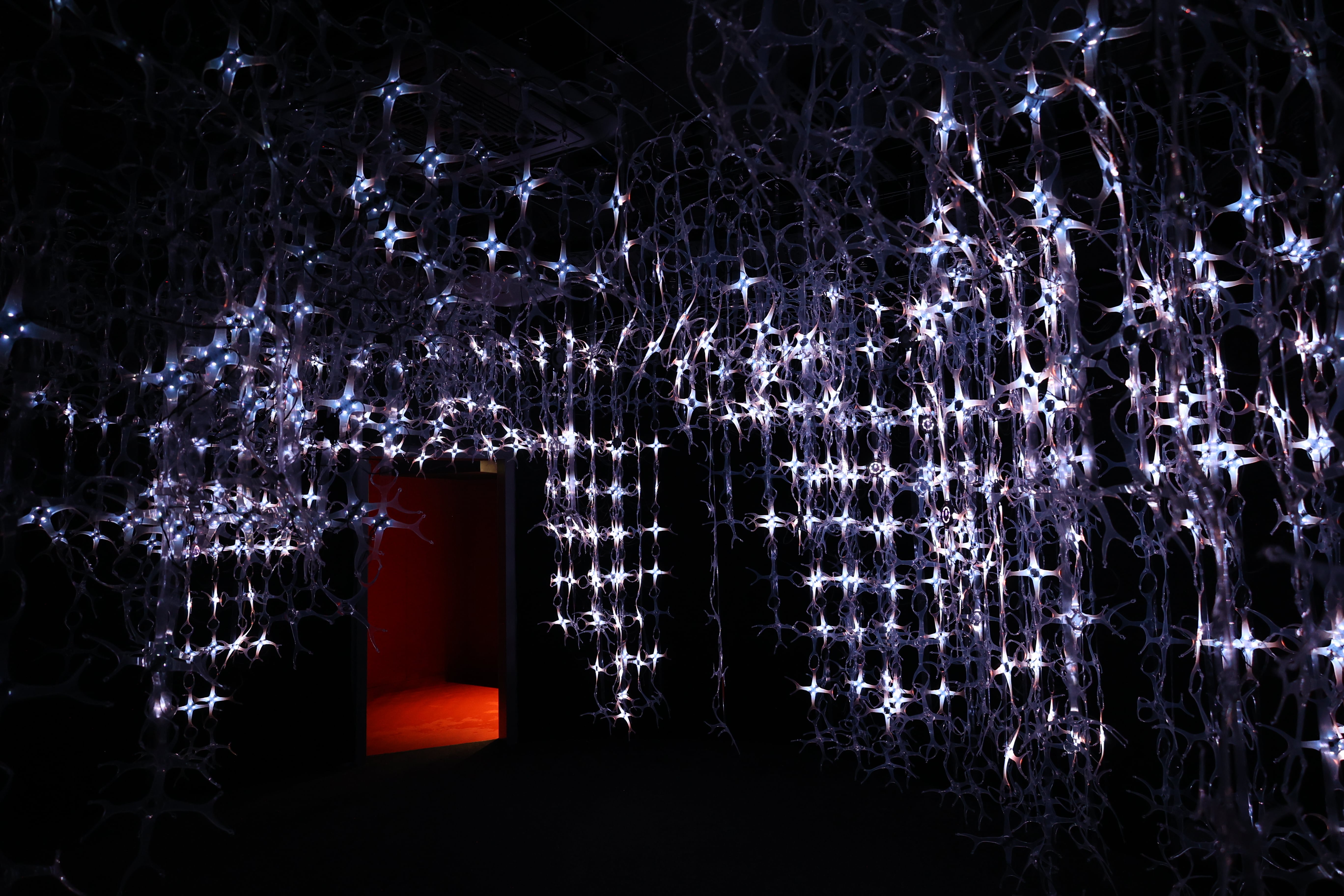 Mozart by STUDIO WALDEMEYER