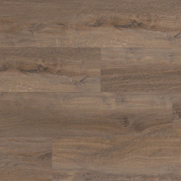 daintree-floor-warehouse