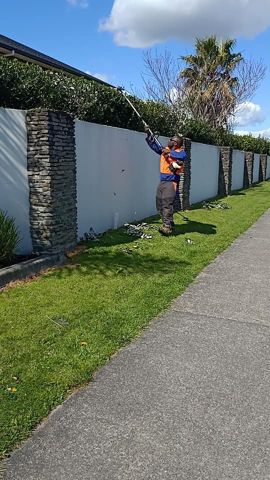 Landscaping Lawn Mowing, Hedge Trimming & Gardening Hamilton NZ.