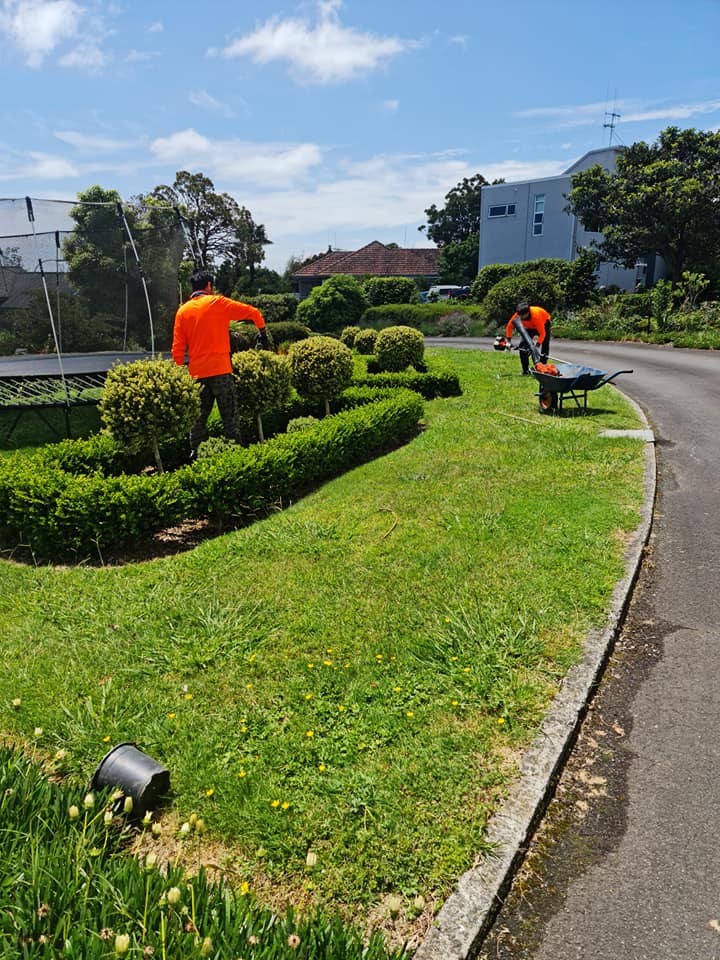 Landscaping Lawn Mowing, Hedge Trimming & Gardening Hamilton NZ.