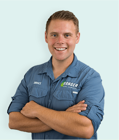 Pest Control Las Vegas Ranger Pest Control