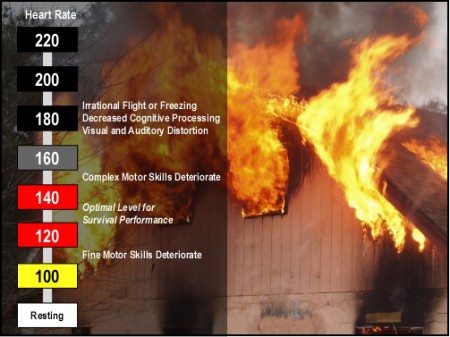 heart rate beats per minute