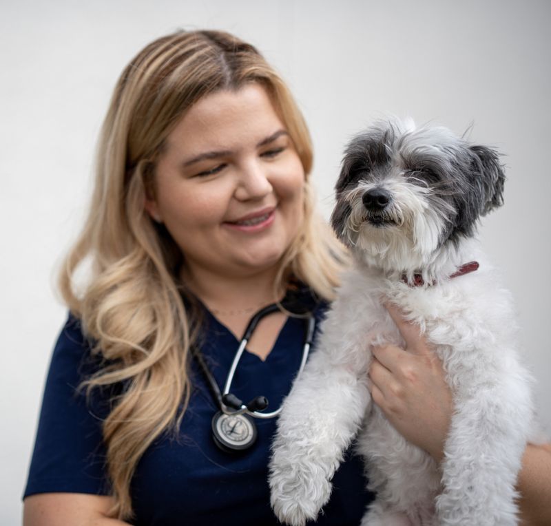 Roo Veterinary Relief