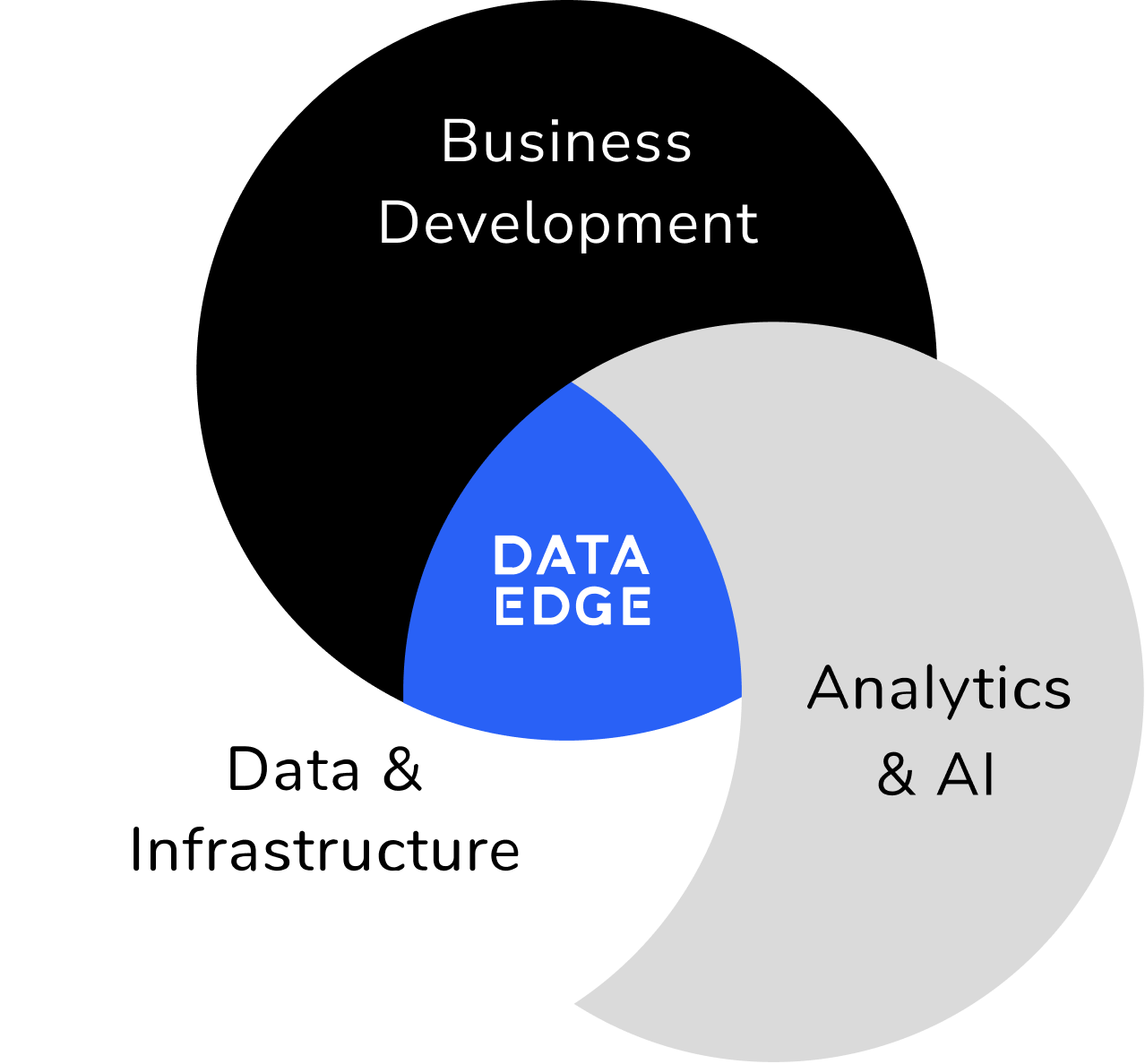 Data Edge Transforming Businesses with Data, Analytics & AI