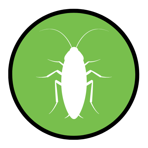 Fortified I Pest Control In Las Vegas