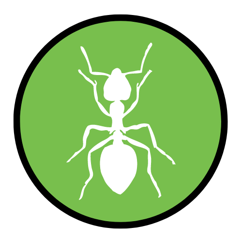 Fortified I Pest Control In Las Vegas