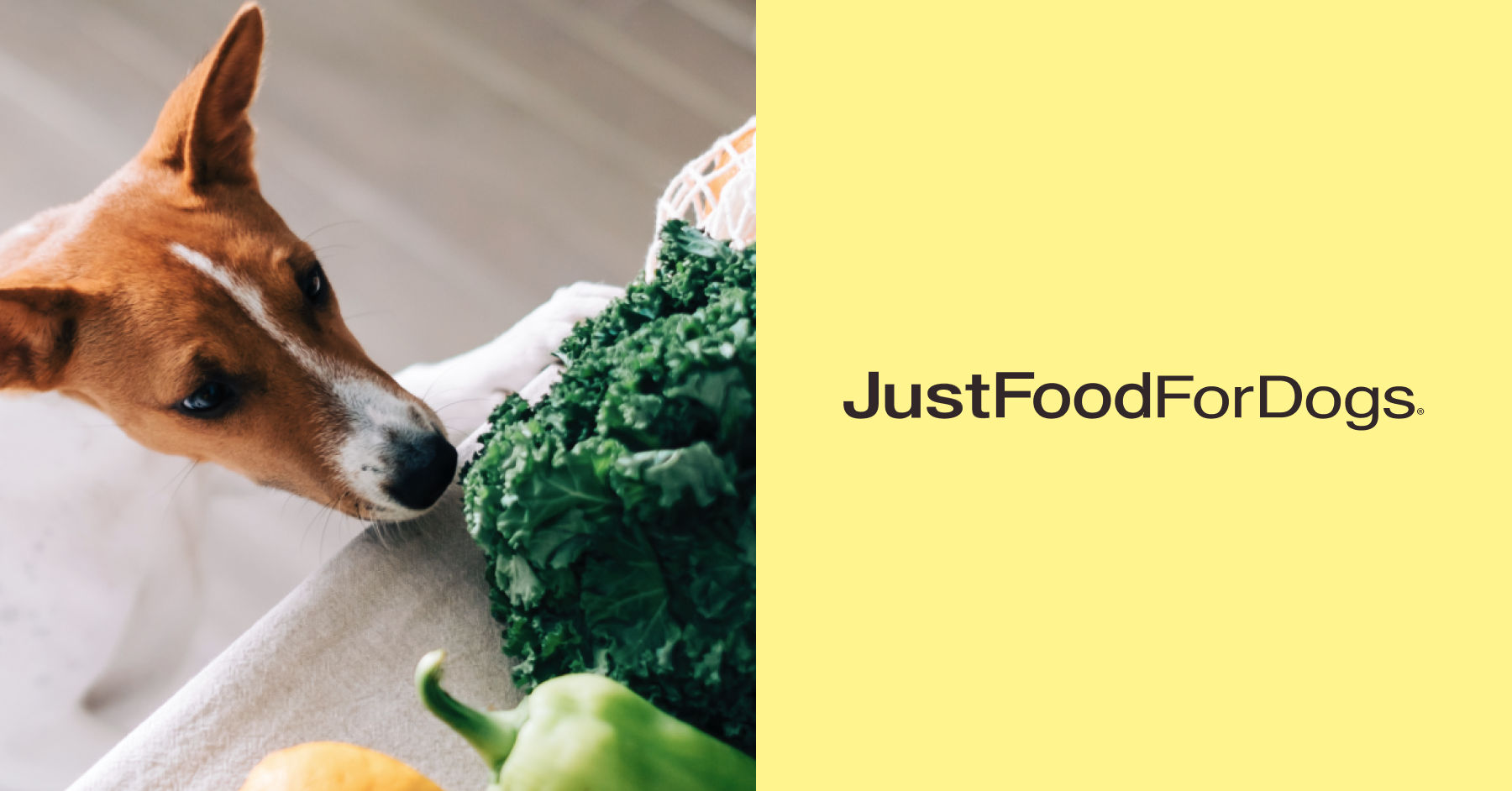 JustFoodForDogs fills an additional 7 million in orders annually with